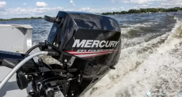 Fourstroke 20 CV EFI