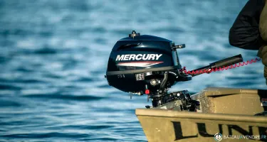 Fourstroke 2.5 CV