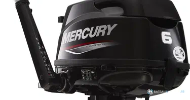 Fourstroke 6 CV *Offre Remotorisation Dispo saison 2026 !!