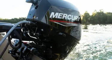 Fourstroke 15 CV EFI