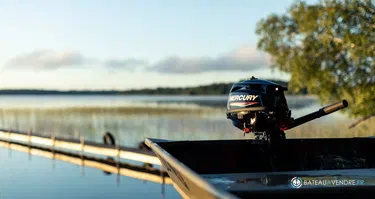 Fourstroke 3.5 CV *Offre Remotorisation Dispo saison 2026 !!