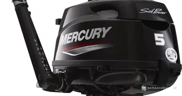 Fourstroke 5 CV Sail power *Offre Remotorisation Dispo saison 2026 !!