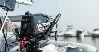 Fourstroke 5 CV Sail power