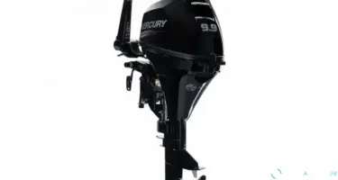 Fourstroke 9.9 CV EFI