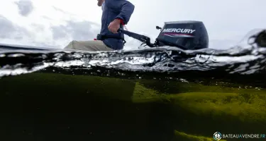 Fourstroke 9.9 CV EFI