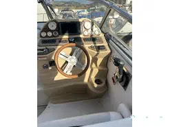 Glastron  GS 289