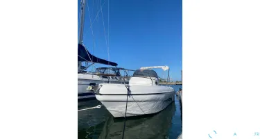 Ranieri Shadow 24