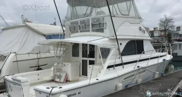 Caribbean  40