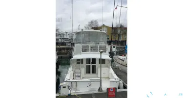 Caribbean  40
