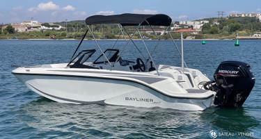 Bayliner Element M17