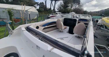 Four Winns Sundowner 195