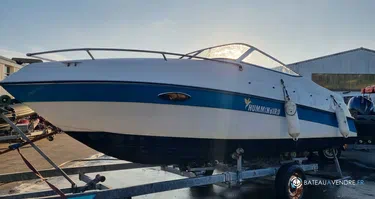 Four Winns Sundowner 195