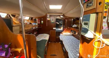 Andre Mauric Super Arlequin