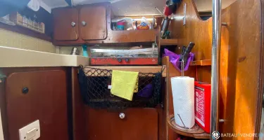 Andre Mauric Super Arlequin