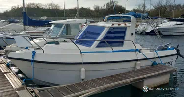 Clear Liner  600 Timonier