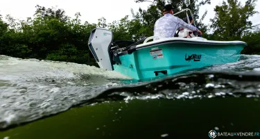 Avator 35
