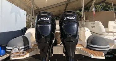 Black Fin Elegance 9