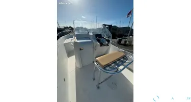 White Shark  246
