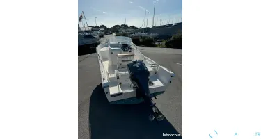 White Shark  246