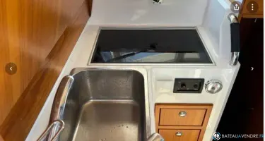 Sargo  31