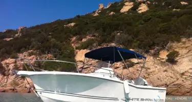 White Shark  205