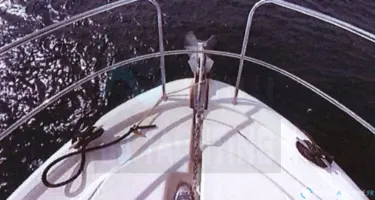 Jeanneau Prestige 390 S