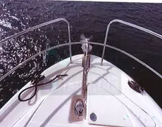 Prestige Yachts  390 S