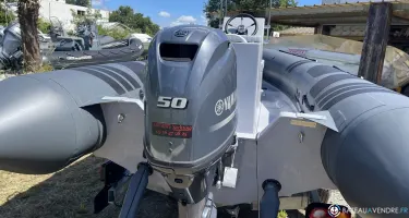 Tarpon AD 50
