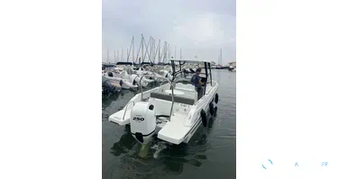 MOTEUR D'OCCASION BF250 - N°1