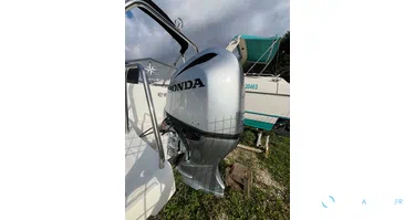 HONDA BF250 OCCASION - N°4