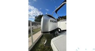 HONDA BF250 OCCASION