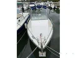 SBPEM Eurofish 520