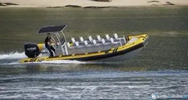 Tarpon DV 75