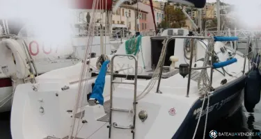Elan  31