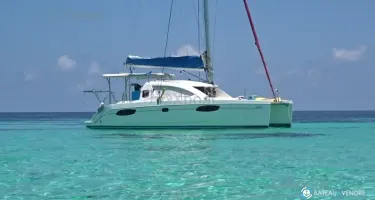 Leopard  38