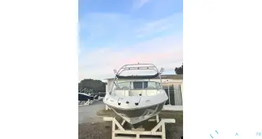 Sea Ray  210 Select