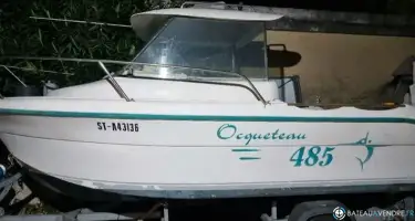 Ocqueteau  485 Timonier