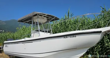 Boston Whaler  260 Outrage