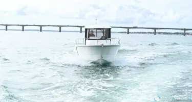 Ocqueteau Ostrea 710 Timonier