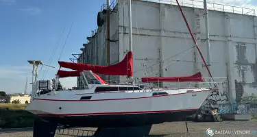 Reinke S 11