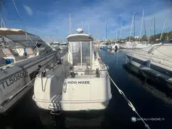 Arvor  210