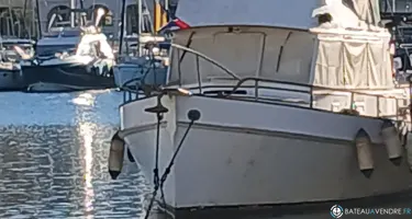 Grand Banks  36