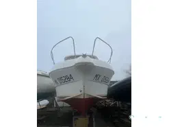 Arvor 215