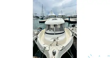 Arvor  215