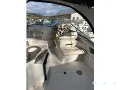 Glastron  GS 289