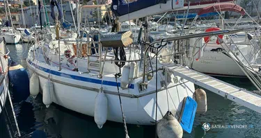 Contest Yachts Contest 36