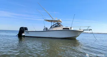 Mako  25