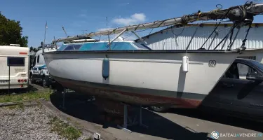 Dufour  1800