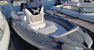 Salpa Soleil 18