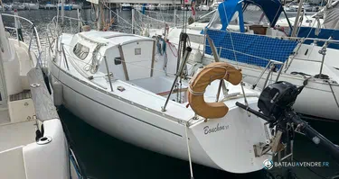 Mallard Ecume de Mer